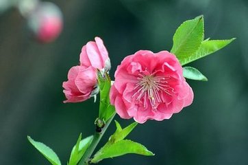 西安交通大學威海校友會到訪中都，參觀交流