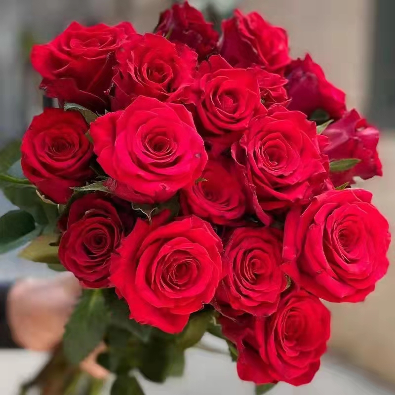 中都投資集團 祝全體女職工節日快樂！